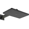 Hansgrohe Raindance Alive Q - Hoofddouche, 21x34 cm, 2 stralen, EcoSma...