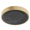 hansgrohe, Pommeau de douche, HG Douche de tête Rainfinity 250 1jet Ec...