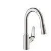Mitigeur de cuisine HANSGROHE Focus M42 avec douchette extractible 2 j...