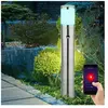 ETC-SHOP Eclairage de chemin avec détecteur de mouvement Extérieur Eclairage extérieur Lampadaire de jardin détecteur de mouvement, Appcommande vocale, 1x