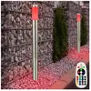 ETC-SHOP Set de 2 lampadaires, éclairage extérieur, télécommande dans un set comprenant des lampes led rgb