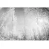 Fotobehang ForestGlade1 DD118020 A.S. Création Atelier 47 | 3D Fotobeh...