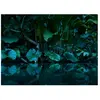 Fotobehang Tropical DD118796 A.S. Création Designwalls | Goedkoop foto...