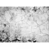 Fotobehang CementCrack DD118768 A.S. Création Designwalls | 3D Fotobeh...