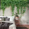 Fotobehang planten op stenen muur, beton behang met planten, 3D behang...