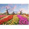 Fototapete Zaanse Schans DD118694 A.S. Création Designwalls | Jetzt Fo...