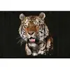 Fotobehang PolygonTiger1 DD118150 A.S. Création Atelier 47 | 3D Fotobe...