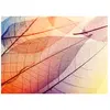 Fotobehang LimpidLeaf1 DD118586 A.S. Création Designwalls | Fotobehang...