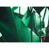 Fotobehang LeafStalks1 DD118556 A.S. Création Designwalls | 3D Fotobeh...