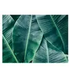 Fotobehang BananaLeaves1 DD118560 A.S. Création Designwalls | 3D Fotob...
