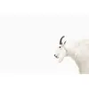 Fotobehang MountainGoat DD119809 A.S. Création ARTist Grijs Wit Vlies ...