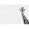 Fotobehang GiraffePotrait DD119817 A.S. Création ARTist Zwart Antracie...