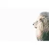 Fotobehang LioninSnow DD119801 A.S. Création ARTist Beige Creme Wit Vl...