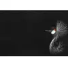 Fotobehang CrownedCraneBlack DD119805 A.S. Création ARTist Zwart Antra...