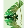 Fotobehang MonsteraLeafWater2 DD119793 A.S. Création ARTist Groen Vlie...