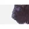 Fotobehang BlackBuffalo DD119797 A.S. Création ARTist Zwart Antraciet ...