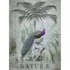 Fotobehang PeacockJungle1 DD119709 A.S. Création ARTist Grijs Groen Vl...