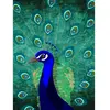 Fotobehang Peacock DD120045 A.S. Création ARTist Blauw Groen Vlies 270...