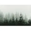 Fotobehang MountainForest DD119873 A.S. Création ARTist Groen Wit Vlie...