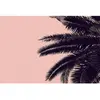 Fotobehang PalmTree DD119877 A.S. Création ARTist Roze Zwart Antraciet...