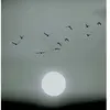 Fotobehang WinterLights DD119929 A.S. Création ARTist Grijs Zwart Antr...