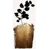Fotobehang GoldenScabiosa DD119937 A.S. Création ARTist Goud Zwart Ant...