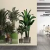 Fotobehang plantshop1 DD122084 Livingwalls Walls by Patel 3 Groen Beig...