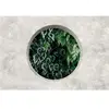 Fotobehang deepgreen1 DD122092 Livingwalls Walls by Patel 3 Groen Grij...
