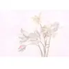 Fotobehang morningroom1 DD122388 Livingwalls Walls by Patel 3 Paars Ge...