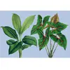 Fotobehang leafgarden1 DD121948 Livingwalls Walls by Patel 3 Groen Bla...