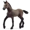 schleich HORSE CLUB - Peruviaans pasoveulen - 13954