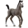 schleich HORSE CLUB - Selle Français-veulen - 13957