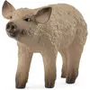SCHLEICH Wolvarken Varkentje