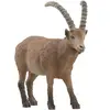 Schleich schleich WILD LIFE Bouquetin