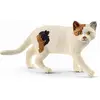 Schleich Chat Américain Shorthair