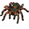 schleich WILD LIFE - Vogelspin - 14829