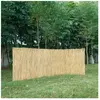 CASA.PRO Canisse en roseau Abbateggio 100 x 600 cm naturel