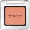 CATRICE Art Couleurs Oogschaduw