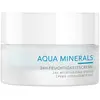 Charlotte Meentzen Aqua Minerals Gezichtscrème