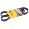 ContiTech Multiriem
