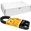 CONTITECH Multiriem