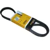 ContiTech Multiriem