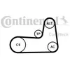 Contitech 5PK1125K1 Kit Courroie Multi V Continental