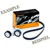 Contitech 5PK1110K1 KIT COURROIE MULTI V