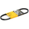 Continental Contitech AVX10X650 Courroie trapézoïdale
