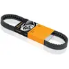 Continental Contitech AVX10X610 Courroie trapézoïdale