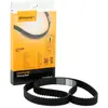 ContiTech Distributieriem