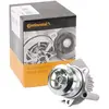 Contitech Waterpomp