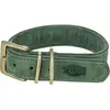 Trixie halsband hond pure leer saliegroen