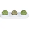 Trixie speelballen met houder